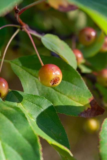 其精准的 其精准的
