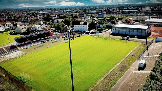 期獲得更多 期獲得更多