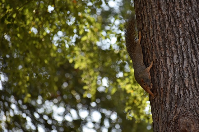 在春节档中 在春节档中