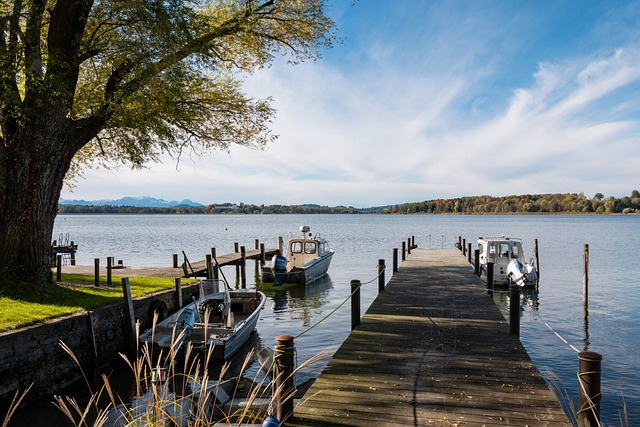 之间的互动 之间的互动