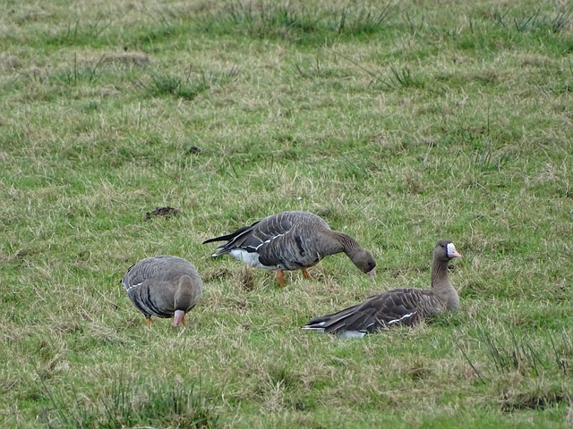 中场施压和 中场施压和
